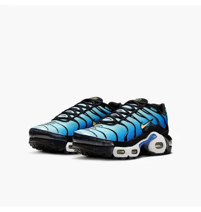 Кроссовки детские Nike Air Max Plus Blue CD0609-032