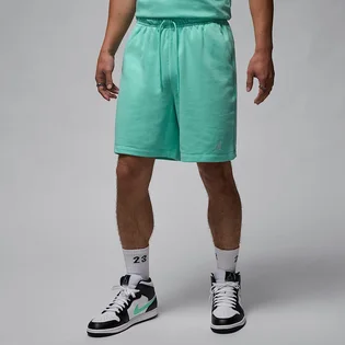 Шорти чоловічі Air Jordan Ess Flc Short Lb Turquoise FQ4534-349