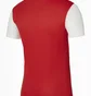 Футболка мужская Nike Dry Tiempo Premier Ii Red DH8035-657