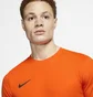 Футболка чоловіча Nike M Nk Df Park Vii Jsy Ss Orange Bv6708-819