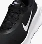 Кроссовки мужские Nike Promina Black FV5285-002