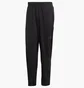 Штаны мужские Adidas Climacool Workout Pants Cg1506 Black