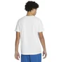 Футболка чоловіча Air Jordan Air Dri-Fit White DH8924-100