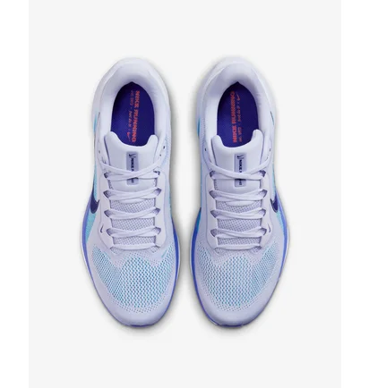 Кроссовки мужские Nike Pegasus 41 White HV5218-100
