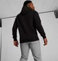 Худи мужское Puma Big Cat Logo Black 672712-01