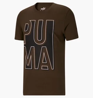Футболка мужская Puma Outside The Box Logo Tee Brown 674615-62