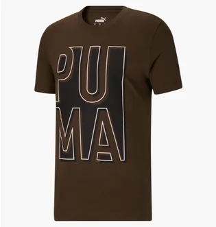 Футболка мужская Puma Outside The Box Logo Tee Brown 674615-62