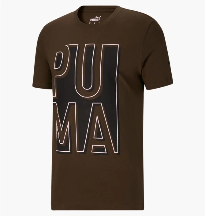 Футболка мужская Puma Outside The Box Logo Tee Brown 674615-62