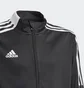 Олимпийка детская Adidas Tiro 21 Track Jacket Black Gm7314