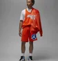 Шорти чоловічі Air Jordan Flight Mvp Mesh Shorts Red Dv7602-817