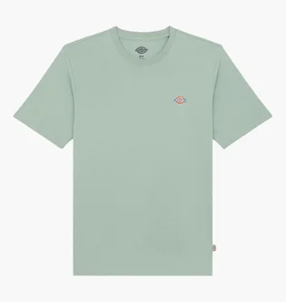 Футболка мужская Dickies Mapleton Green DK0A4XDBK361