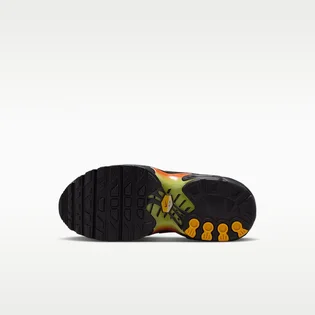Кроссовки детские Nike Air Max Plus Younger Kids Shoes Black FZ0023-040