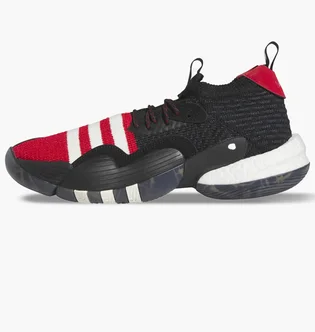 Кроссовки унисекс Adidas Trae Young 2.0 Basketball Shoes Black If2163