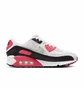 Кросівки жіночі Nike Air Max 90 Aster Pink White DH8010-105