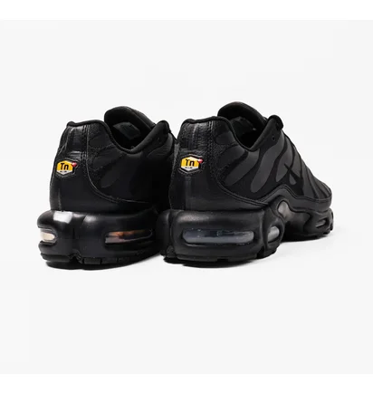 Кроссовки мужские Nike Air Max Plus Black Aj2029-001
