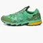 Кроссовки мужские Asics Hs4-S Gel-Sonoma 15-50 Gore-Tex Green 1201A440-300