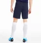 Шорти чоловічі Puma Teamfinal 21 Knit Shorts Black 70425706