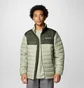 Куртка мужская Columbia Powder Lite Ii Olive 2086964-348