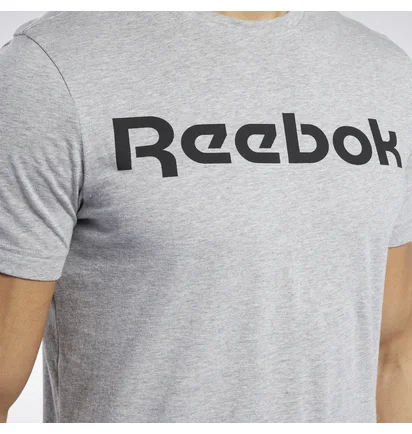 Футболка чоловіча Reebok Graphic Series Linear Logo Grey FP9162