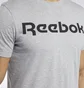 Футболка чоловіча Reebok Graphic Series Linear Logo Grey FP9162