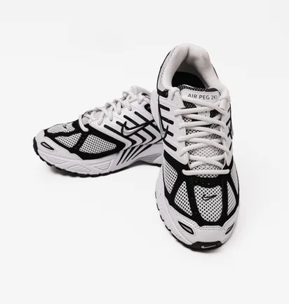 Кроссовки мужские Nike Air Pegasus 2005 White/Grey FJ1909-100