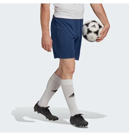 Шорты мужские Adidas Entrada 22 Shorts Blue H57506