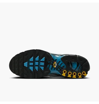 Кроссовки мужские Nike Air Max Plus Pure Platinum Grey DM0032-015