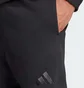 Спортивный костюм мужской Adidas All Szn Fleece Sportswear Black IX1253__IX1246