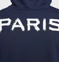 Худи мужское Nike Psg Standart Issue Blue FQ3218-410