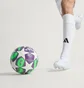 Футбольный мяч Adidas Wucl Pro Multi JD0190