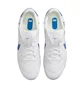 Бутсы унисекс Nike The Premier Iii Fg White HM0265-103