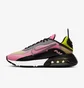 Кроссовки женские Nike W Air Max 2090 Multi CV8727-600