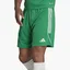 Шорти чоловічі Adidas Shorts Tiro 23 Sho Green IB8087