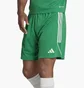 Шорти чоловічі Adidas Shorts Tiro 23 Sho Green IB8087