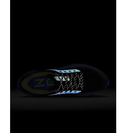 Кроссовки мужские Nike Air Zoom Pegasus 39 Black DZ4846-001