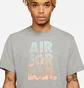 Футболка чоловіча Nike Trops Grey DC9354-091