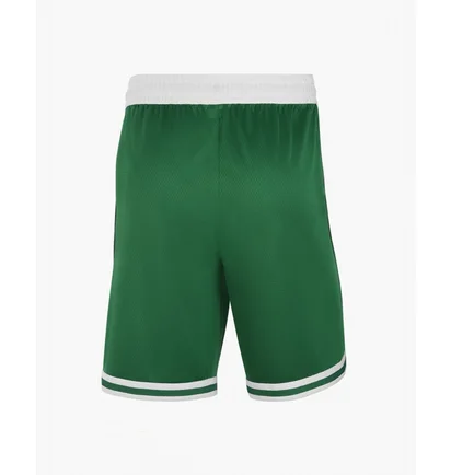 Шорты мужские Nike Nba Swingman Boston Celtics Icon Edition Green AJ5587-312