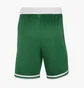 Шорты мужские Nike Nba Swingman Boston Celtics Icon Edition Green AJ5587-312
