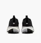 Кроссовки мужские Nike Wildhorse 10 Reactx Black FV2338-001