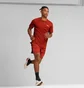 Шорты мужские Puma Run Fav Velocity 7 Running Shorts Red 525005-63