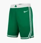 Шорты мужские Nike Nba Swingman Boston Celtics Icon Edition Green AJ5587-312
