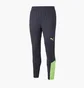 Штаны мужские Puma Individualfinal Training Pant Blue 65804447