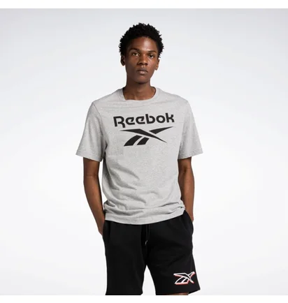 Футболка мужская Reebok Identity Big Stacked Logo T-Shirt Grey 100071173