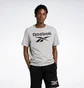 Футболка мужская Reebok Identity Big Stacked Logo T-Shirt Grey 100071173