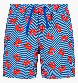 Шорти чоловічі CMP Printed Blue 36R6104-N951