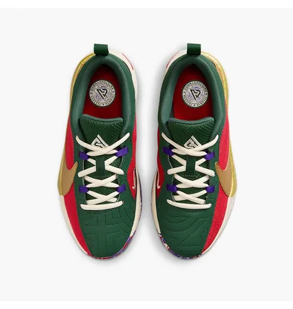 Кросівки дитячі Nike Freak 5 Gs Multi DZ4486-600