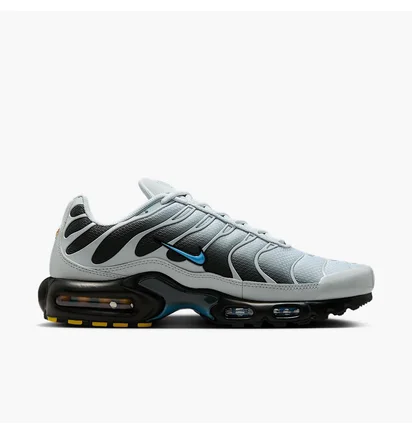 Кросівки чоловічі Nike Air Max Plus Pure Platinum Grey DM0032-015