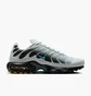 Кросівки чоловічі Nike Air Max Plus Pure Platinum Grey DM0032-015