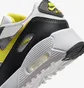 Кроссовки детские Nike Air Max 90 Grey IQ0096-100