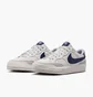 Кросівки жіночі Nike Sb Zoom Pogo Plus White FQ2935-001